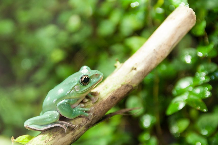 Besuch im Leipziger Zoo