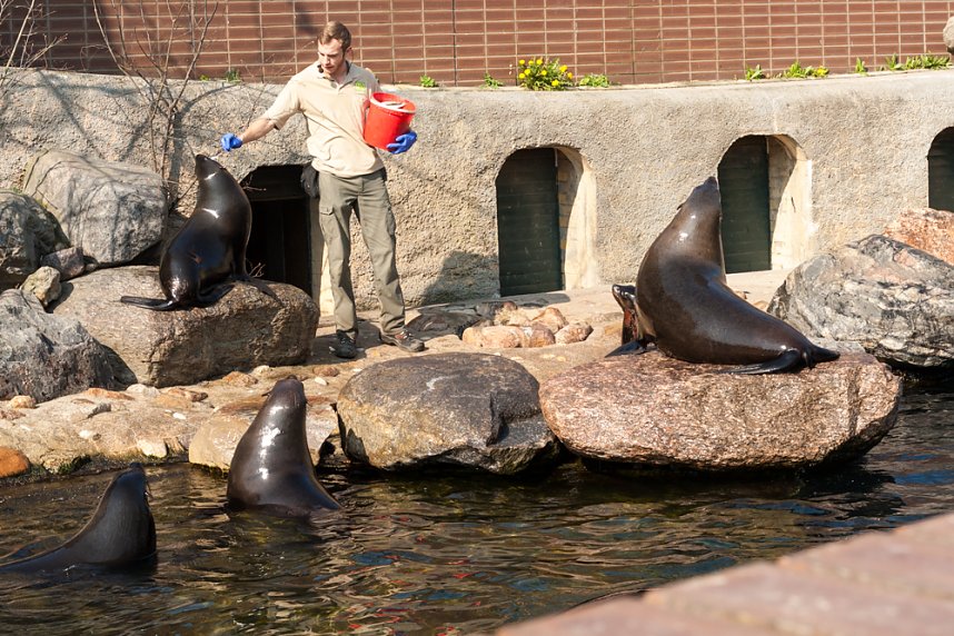 Besuch im Leipziger Zoo