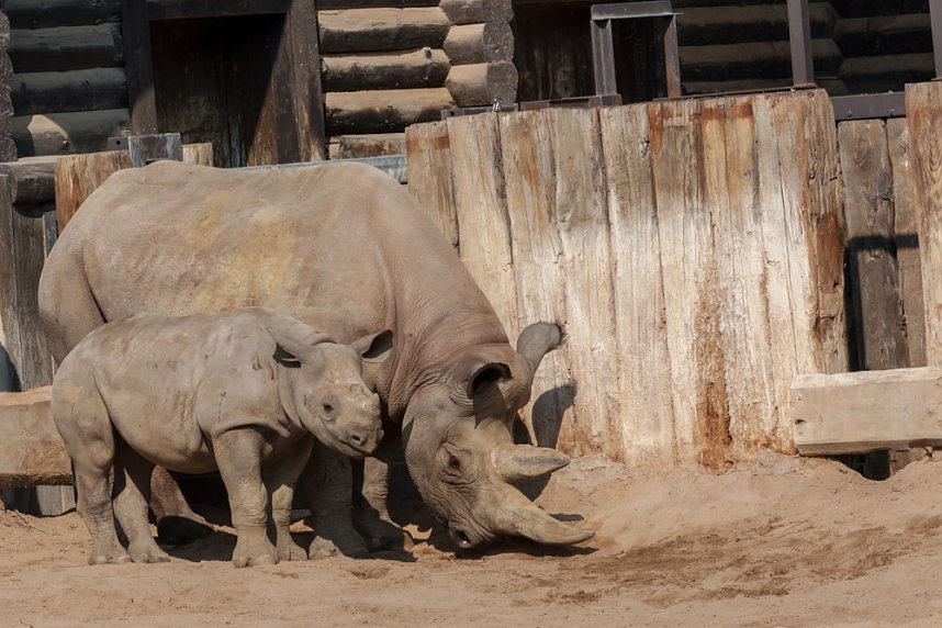 Besuch im Leipziger Zoo