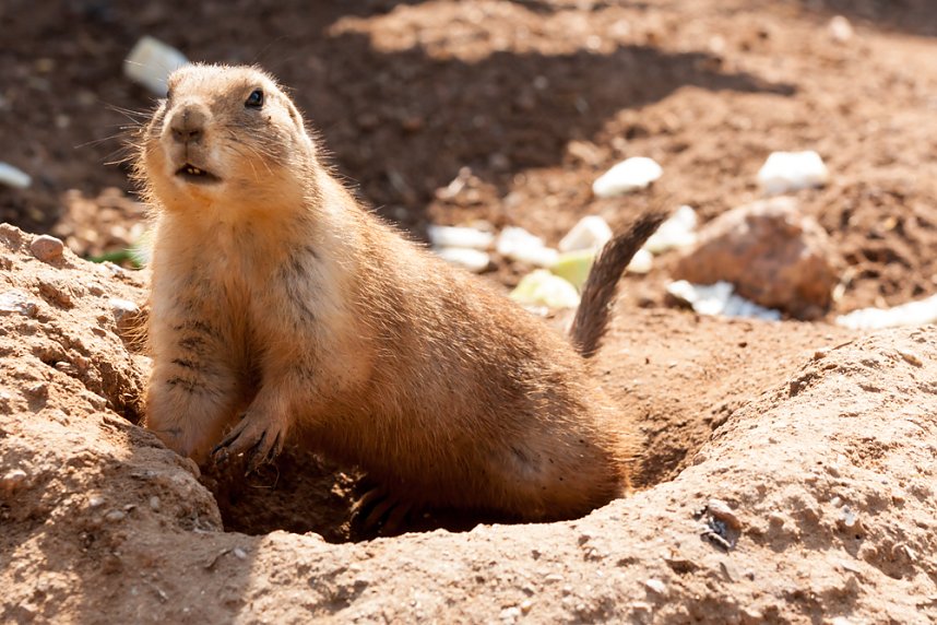 Besuch im Leipziger Zoo