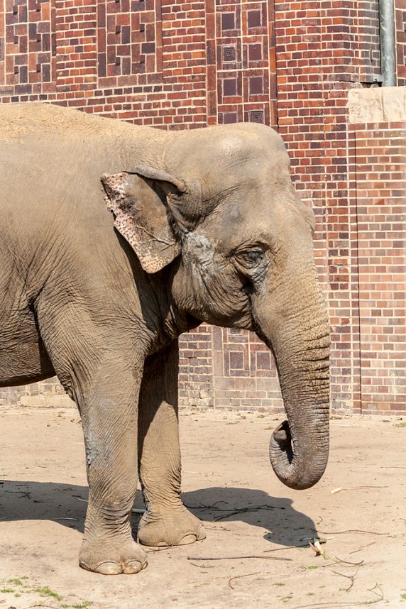 Besuch im Leipziger Zoo