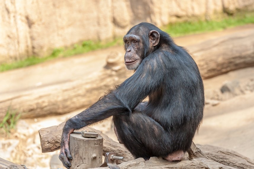 Besuch im Leipziger Zoo