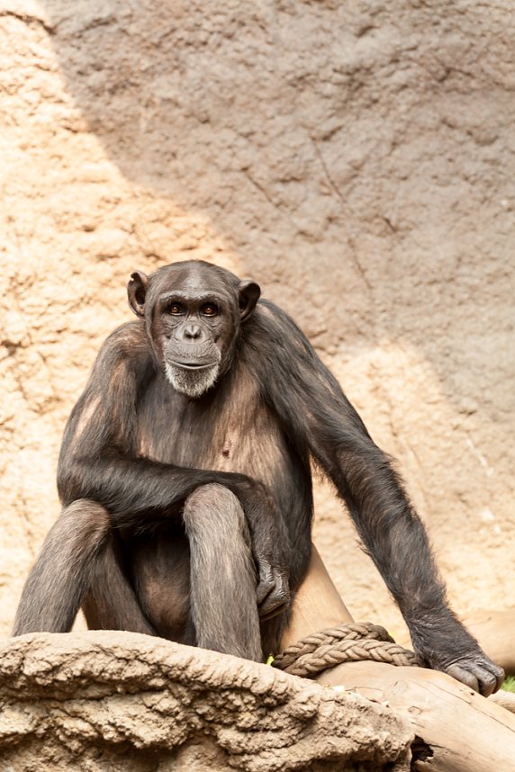 Besuch im Leipziger Zoo