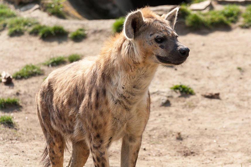 Besuch im Leipziger Zoo