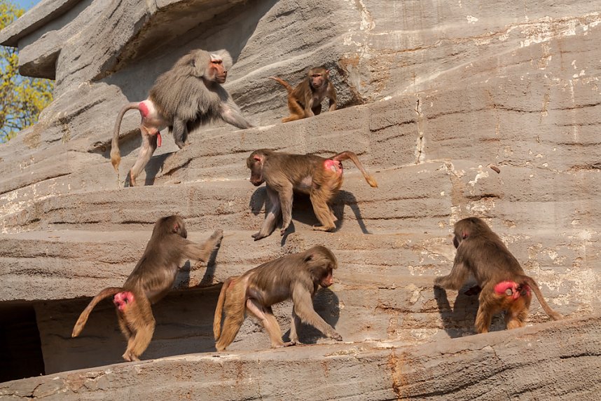 Besuch im Leipziger Zoo