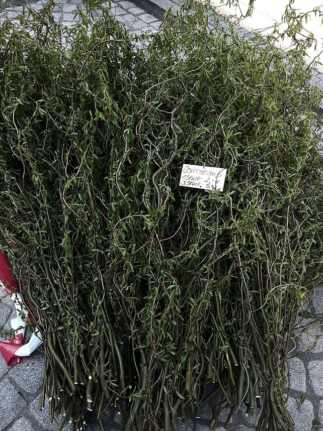 Sonntag in Sondershausen