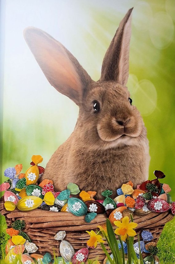 Sonntag in Sondershausen