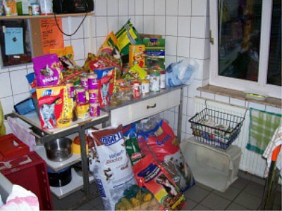 Weihnachtsmart im Tierheim