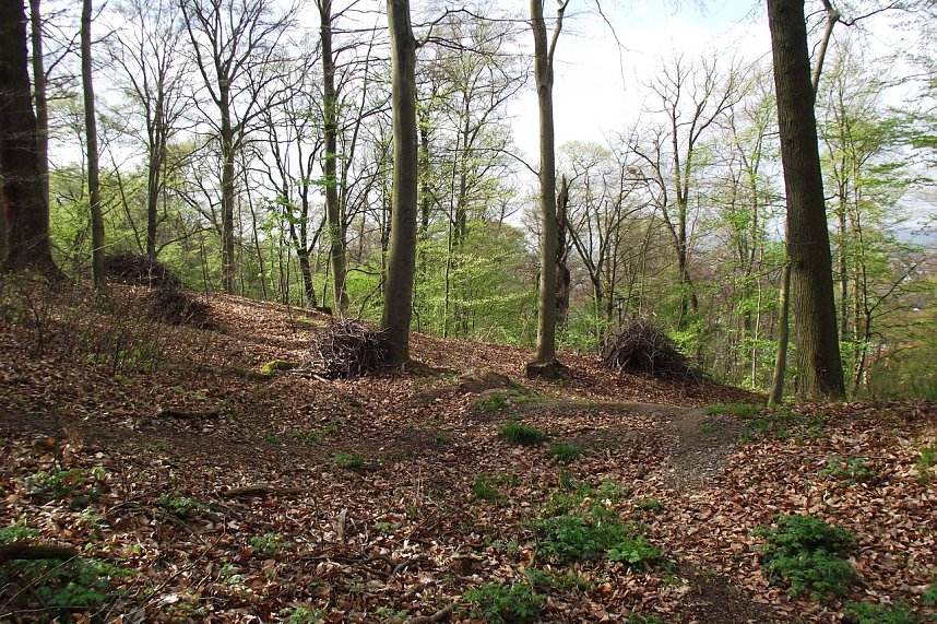 Das Astwerk auf Haufen gebracht sieht im licht gewordenen Gehege aufger&auml;umter auf und ist erst dann Unterschlupf f&uuml;r Igel und V&ouml;gel.