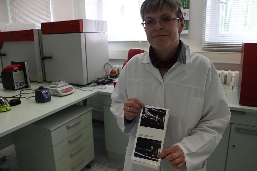 Der Hochschulinformationstag an der FHN