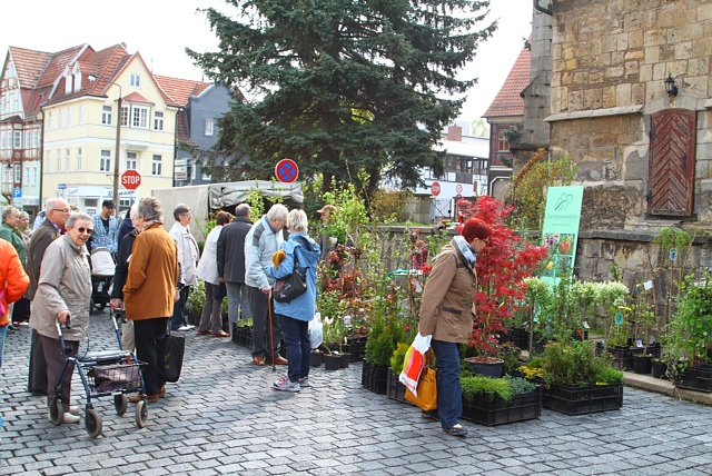 Fr&uuml;hlingsmarkt in Bleicherode