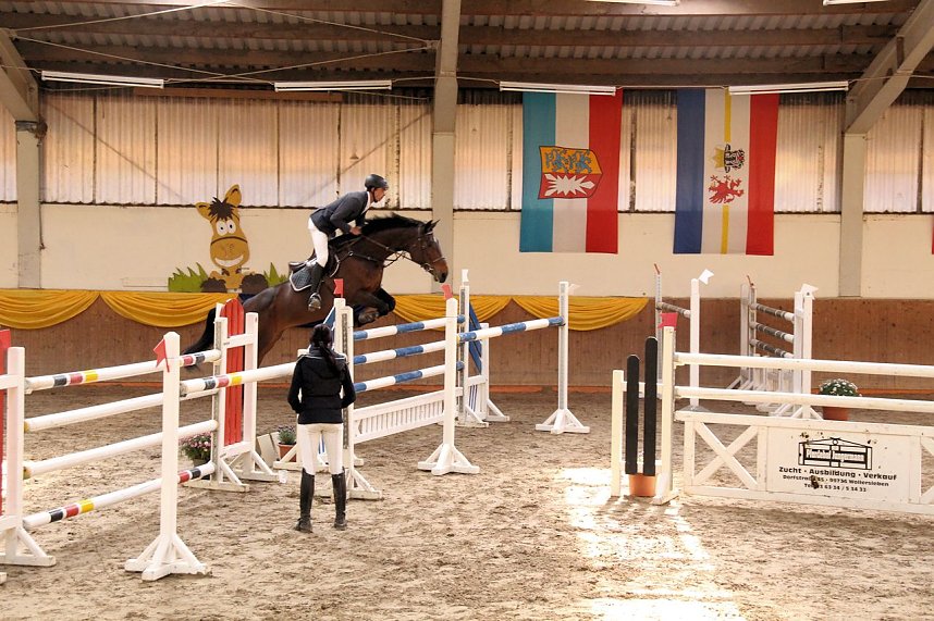 Pferdesportwochenende in Wollersleben