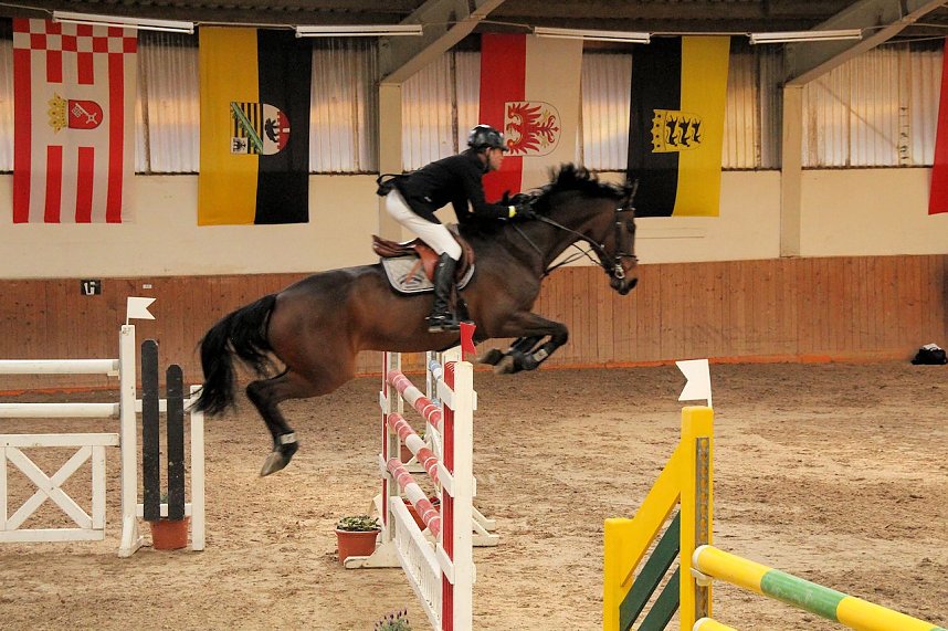 Pferdesportwochenende in Wollersleben