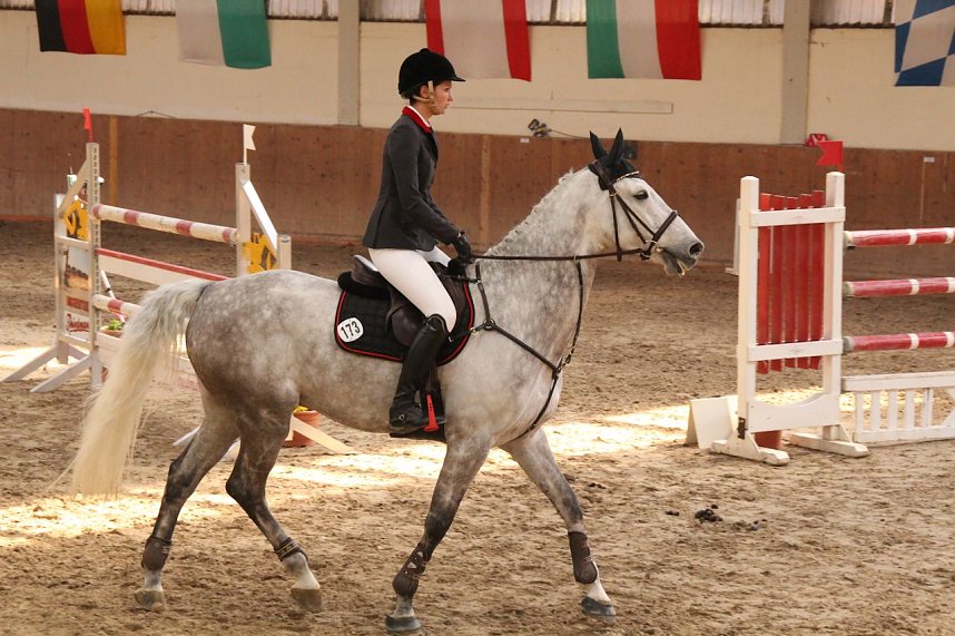 Pferdesportwochenende in Wollersleben