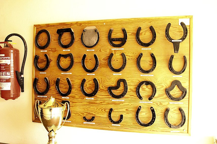 Pferdesportwochenende in Wollersleben