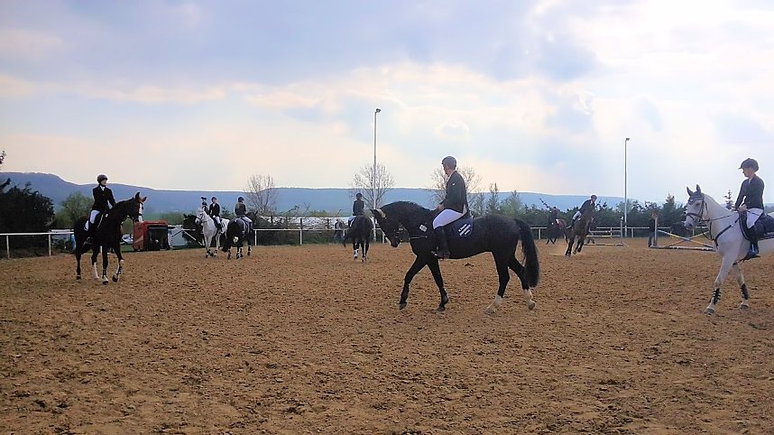 Pferdesportwochenende in Wollersleben