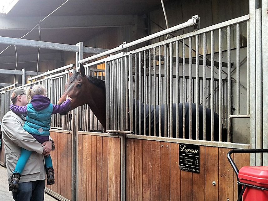 Pferdesportwochenende in Wollersleben