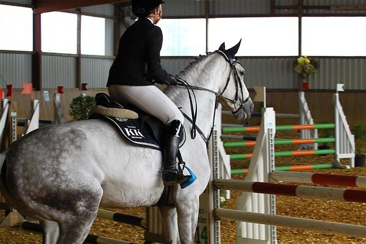 Reitturnier in Immenrode