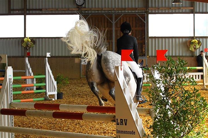 Reitturnier in Immenrode