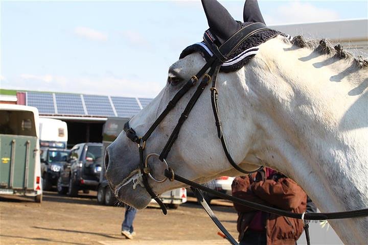 Reitturnier in Immenrode