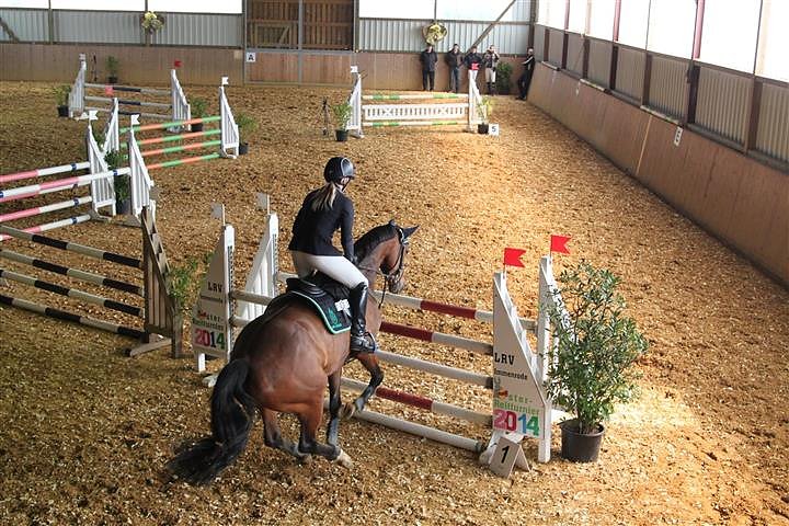 Reitturnier in Immenrode