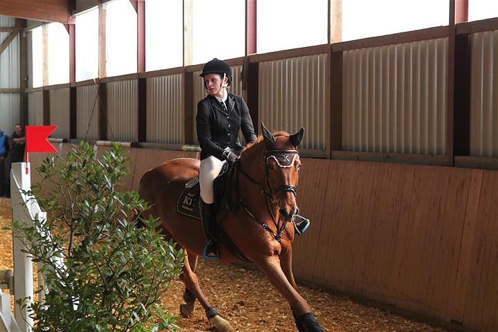 Reitturnier in Immenrode