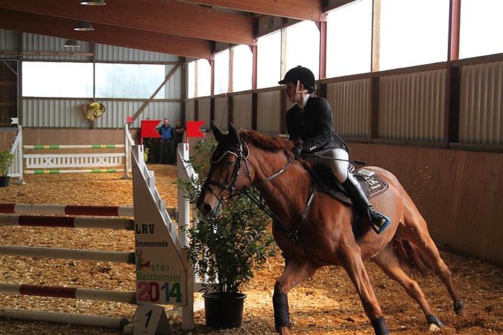 Reitturnier in Immenrode