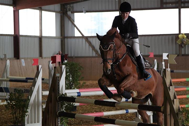 Reitturnier in Immenrode