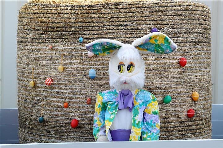 Reitturnier in Immenrode