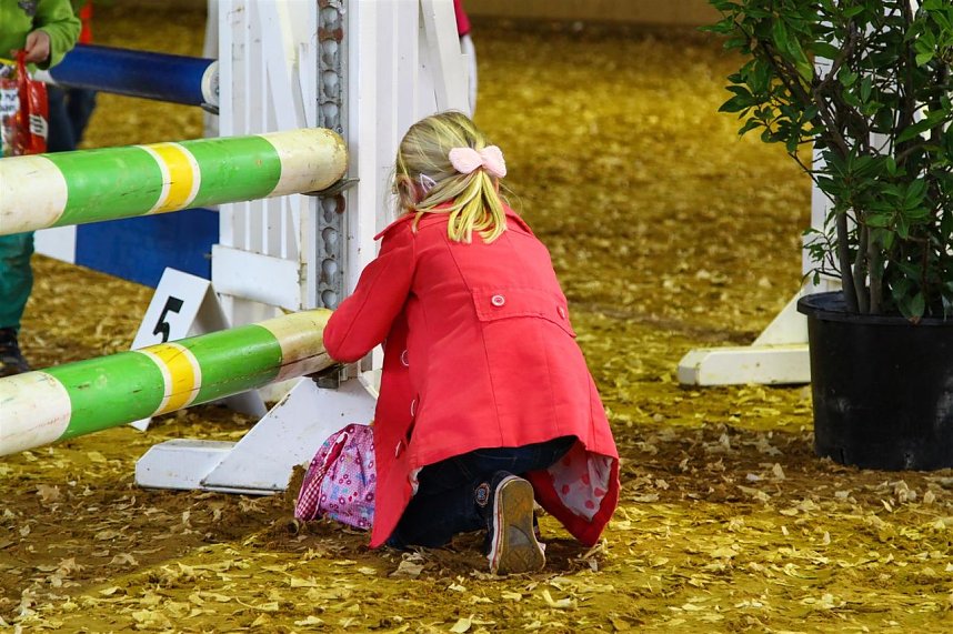 Reitturnier in Immenrode