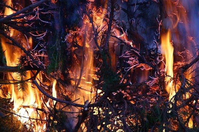 Osterfeuer in Obergebra