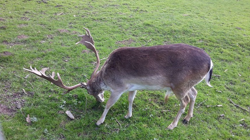 Im Stadtpark unterwegs