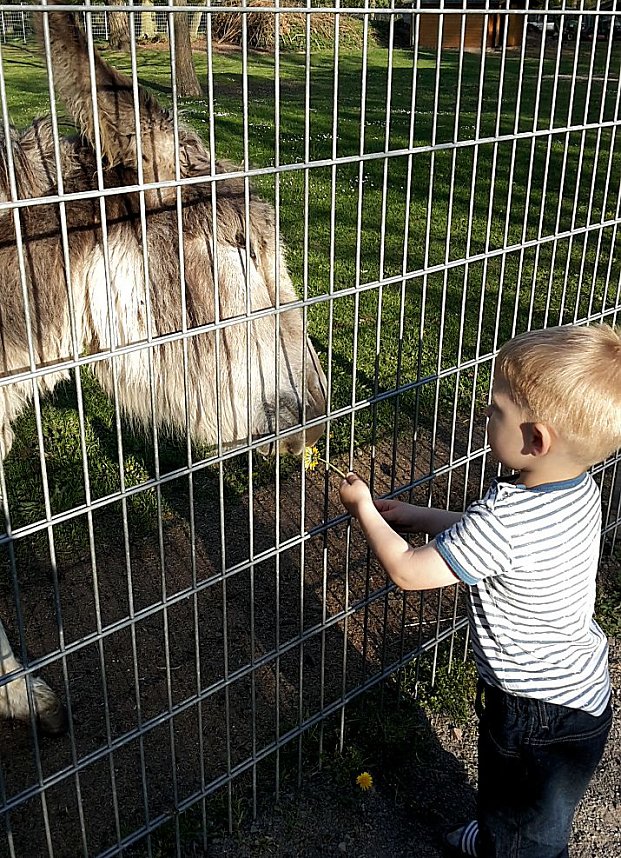 Im Stadtpark unterwegs