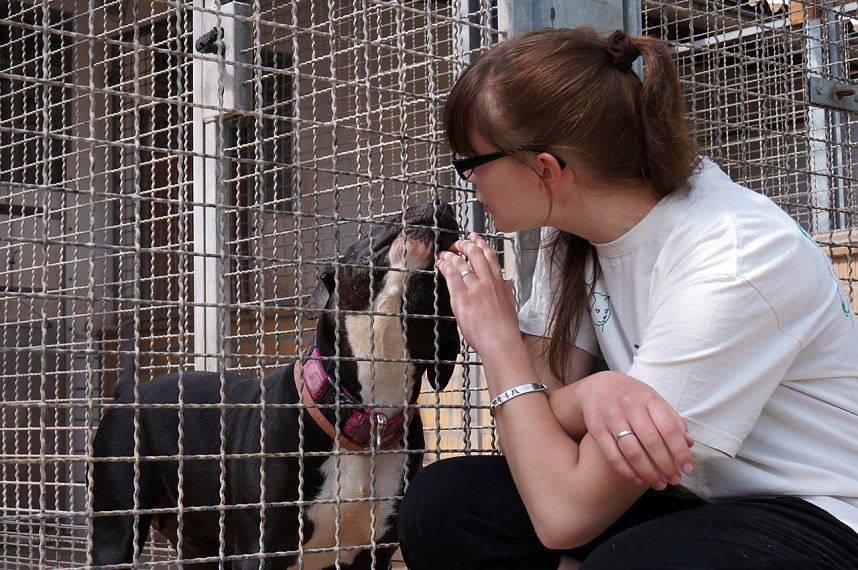 Besucherrekord im Tierheim