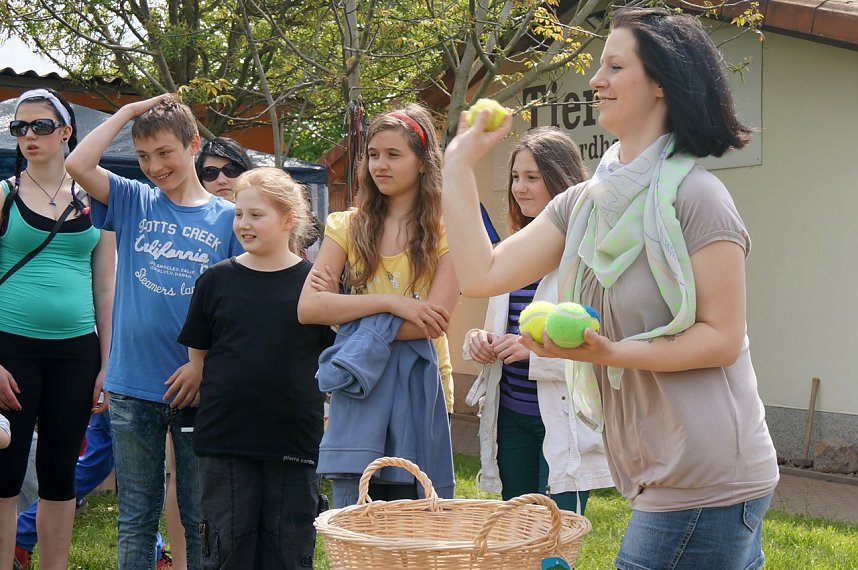 Besucherrekord im Tierheim