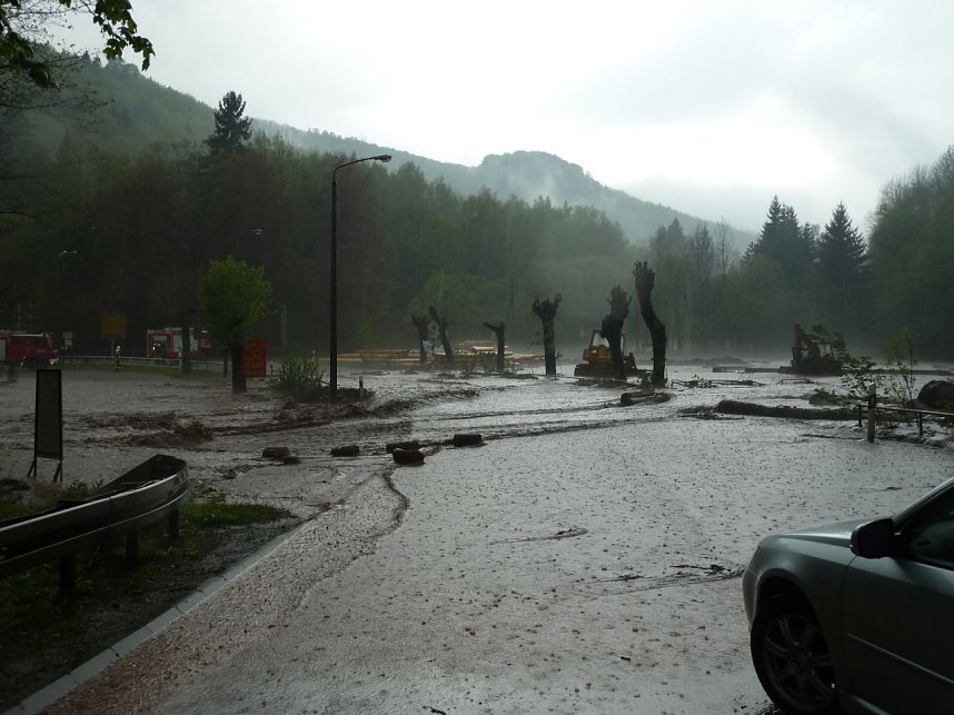 Netzkater unter Wasser
