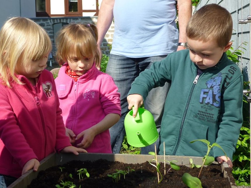 Blumen f&uuml;r die Flohburg