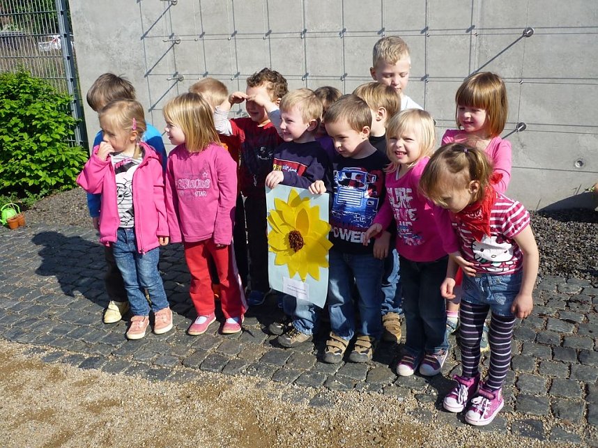 Blumen f&uuml;r die Flohburg