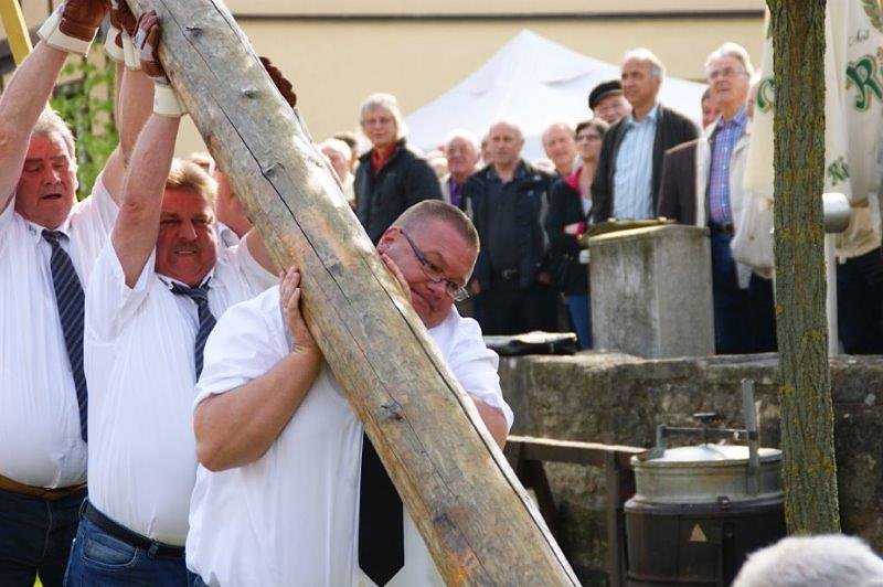 Maibaum in Obergebra gesetzt
