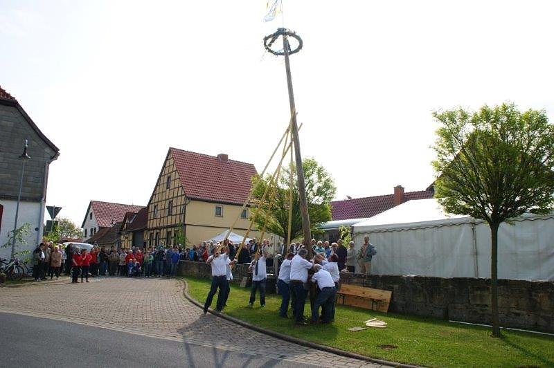 Maibaum in Obergebra gesetzt