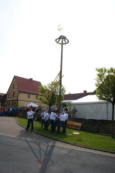 Maibaum in Obergebra gesetzt