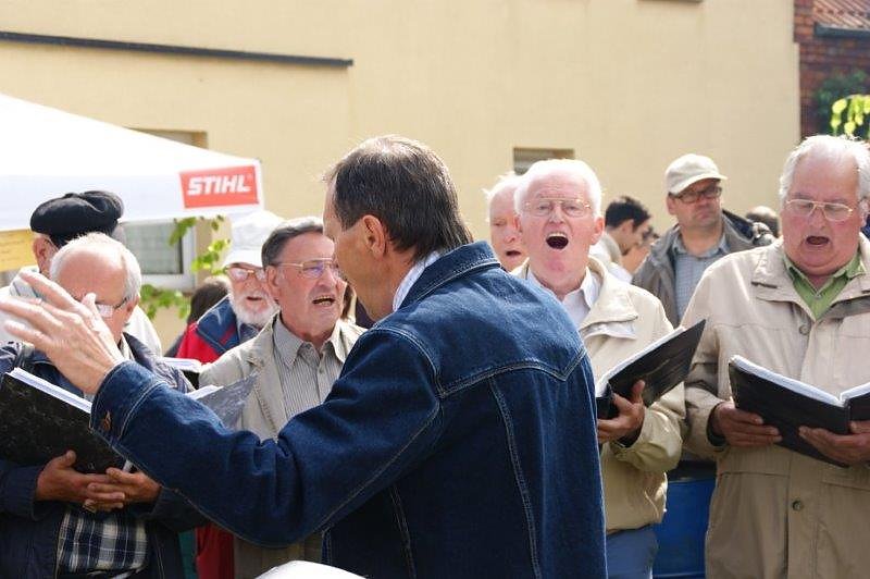 Maibaum in Obergebra gesetzt