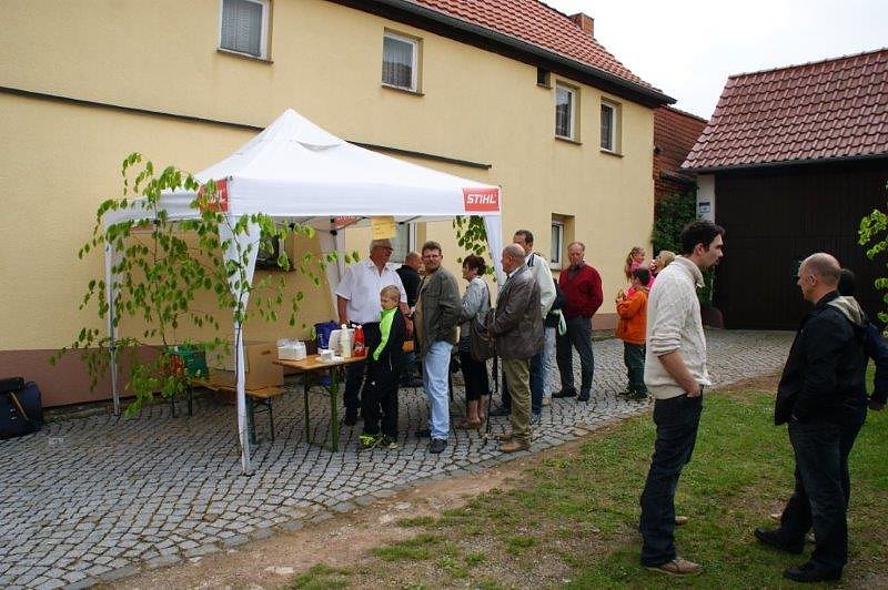 Maibaum in Obergebra gesetzt