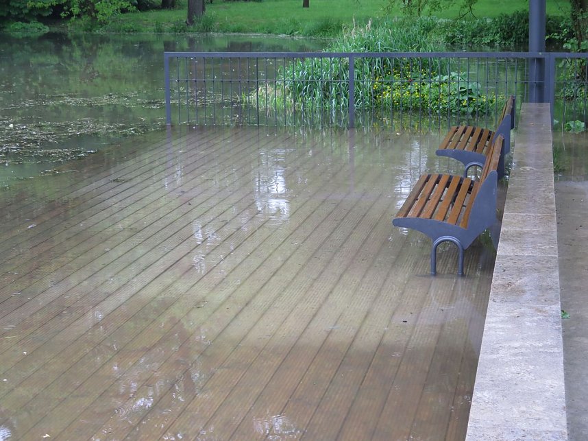 Wasser im Teich und im Park