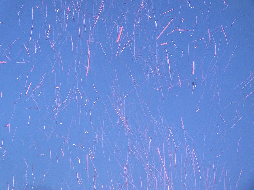 Walpurgis auf dem Auerberg