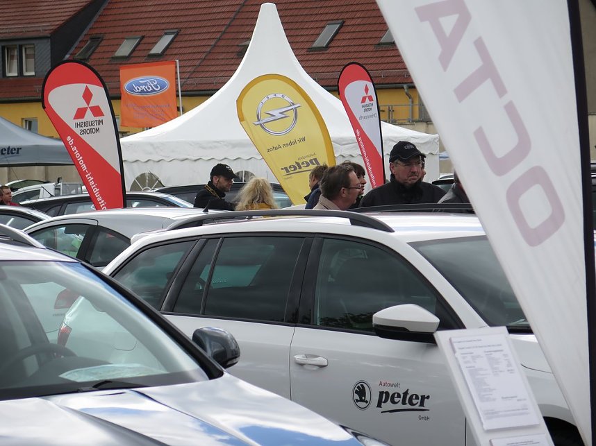 Autofr&uuml;hling 2014