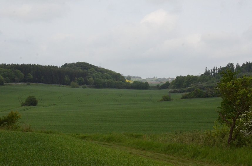 Fr&uuml;hjahrsputz am R&ouml;dersee