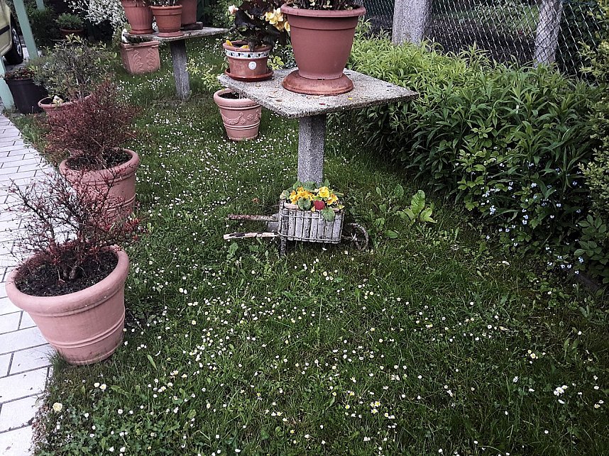 Unterwegs in Bad Sachsa