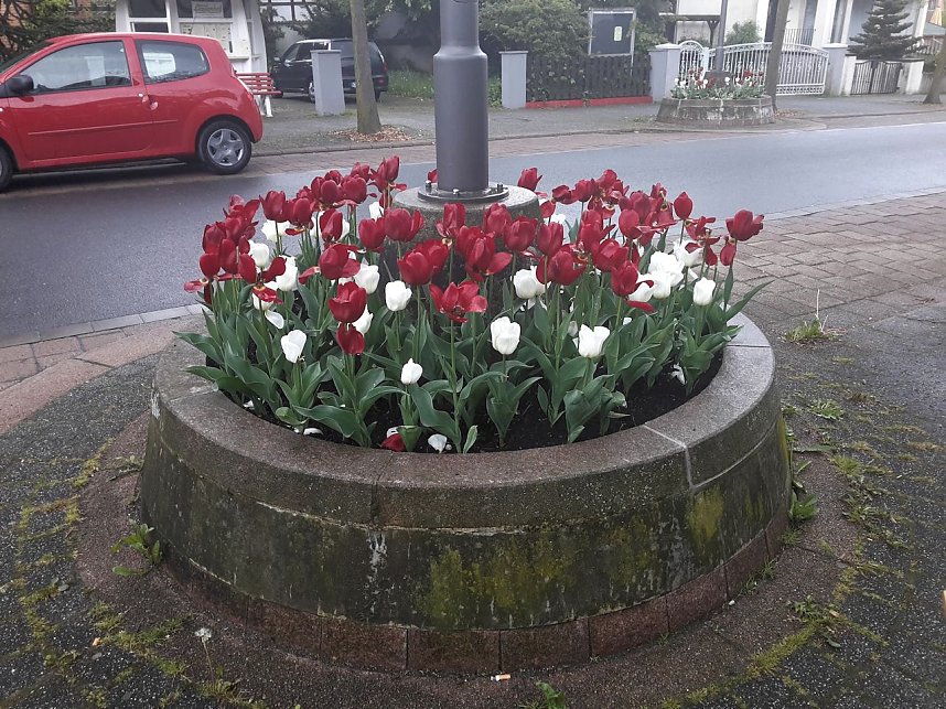 Unterwegs in Bad Sachsa