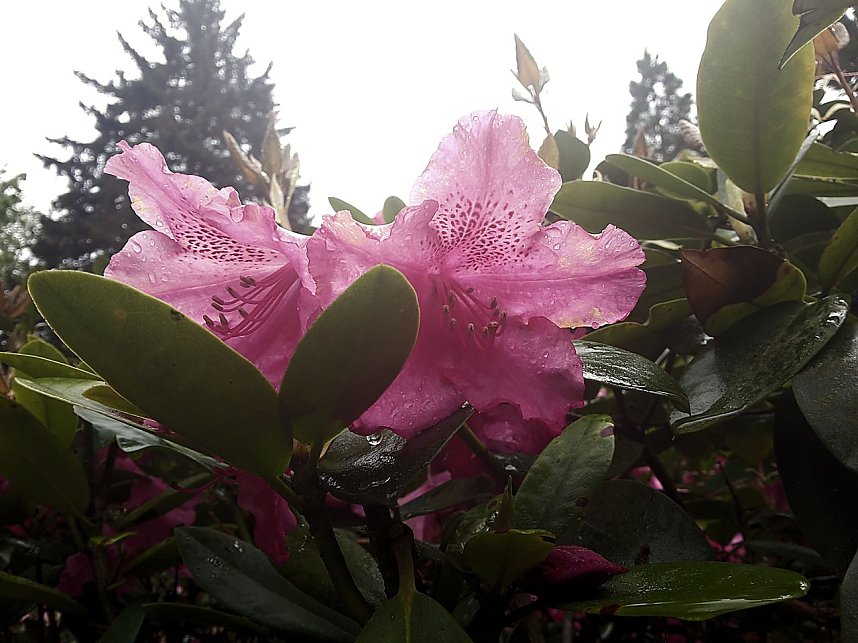 Unterwegs in Bad Sachsa